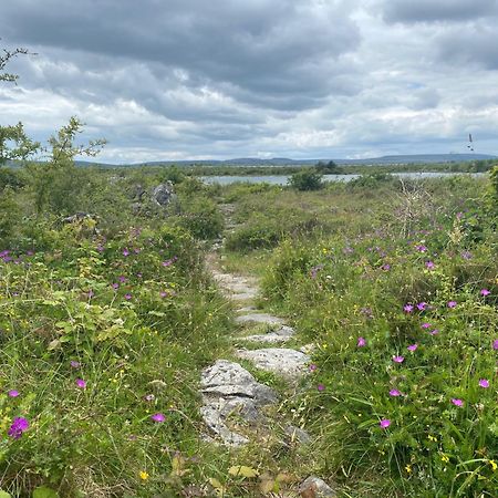 Вилла Luxury Glamping Dome With Views Of The Burren Boston Экстерьер фото